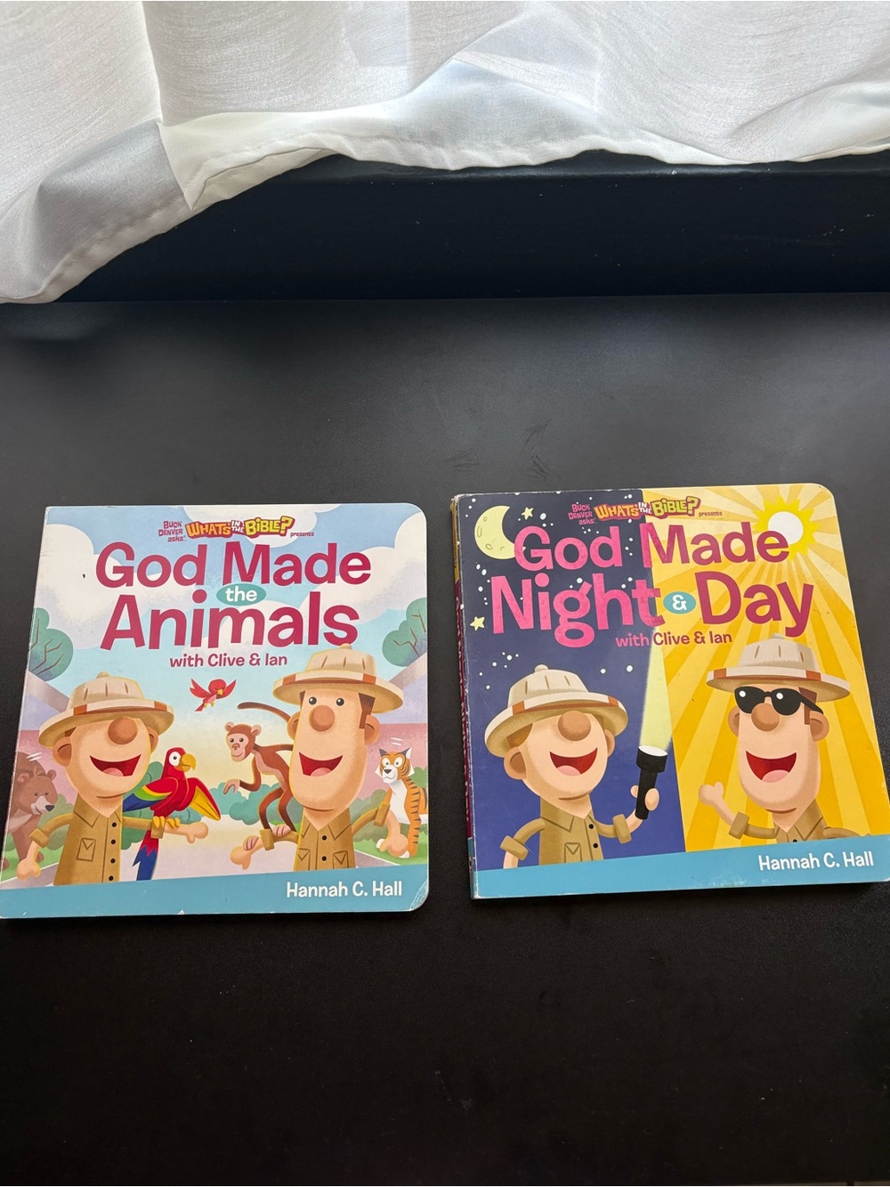 Kids creation bible books